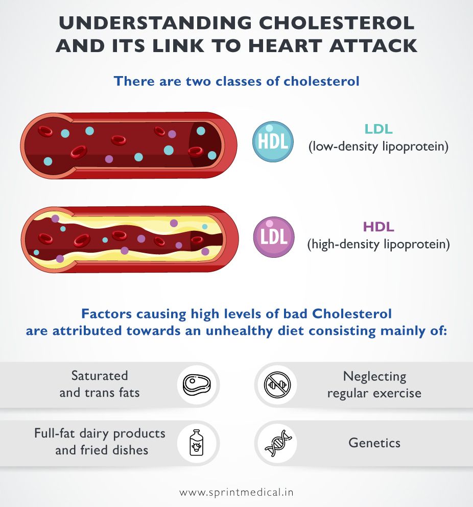 Understanding-Cholesterol