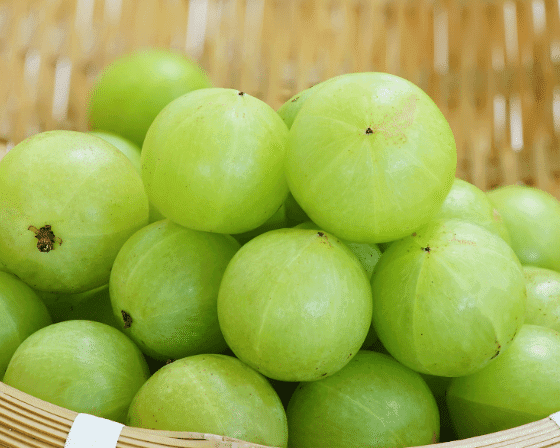 Amla- 10 reason to eat every day