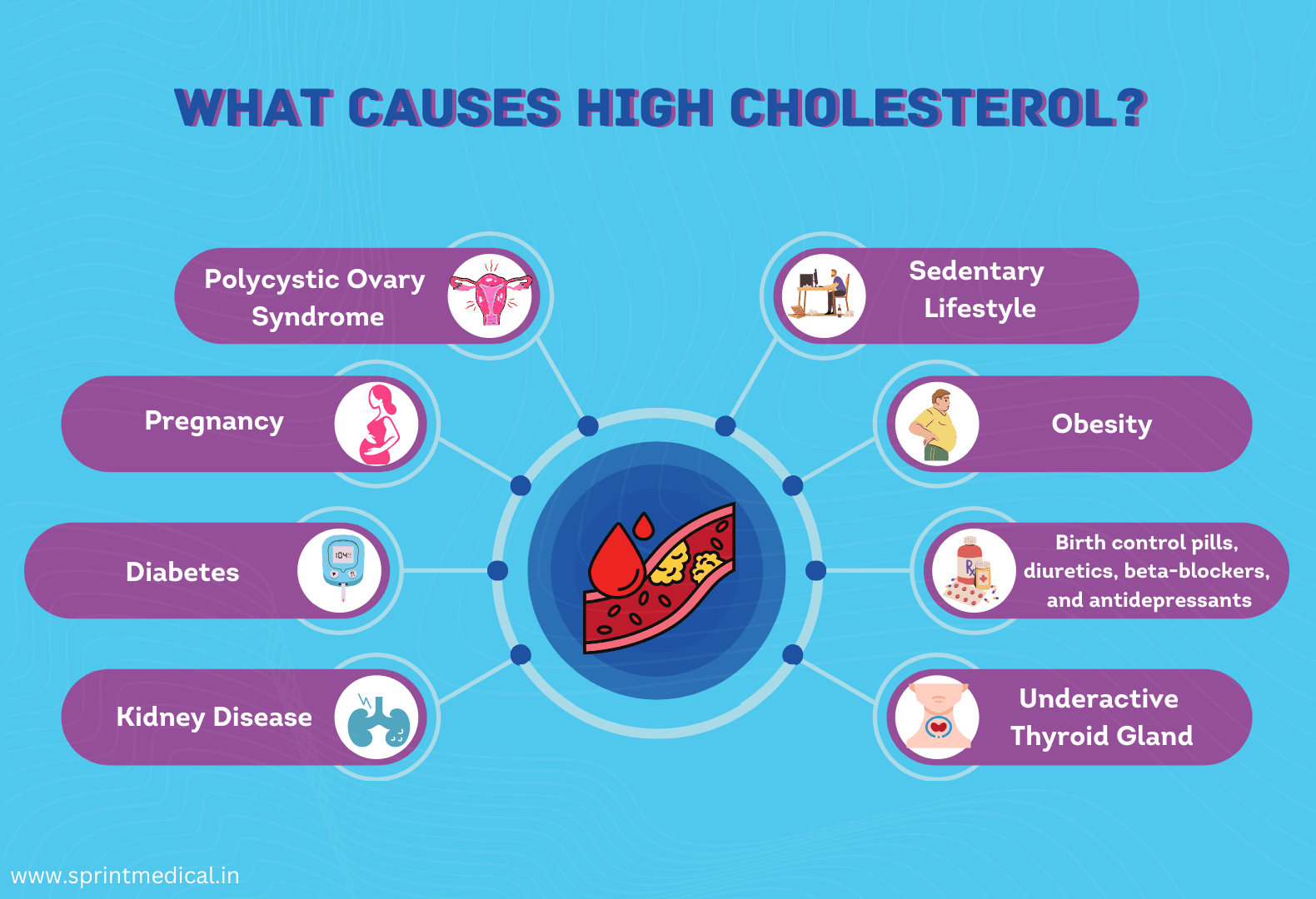What Causes High Cholesterol