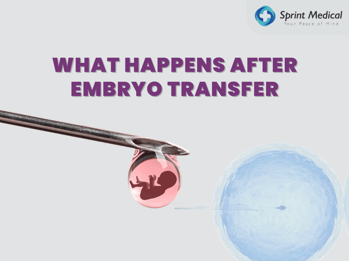 What-happens-after-embryo-transfer-1.png