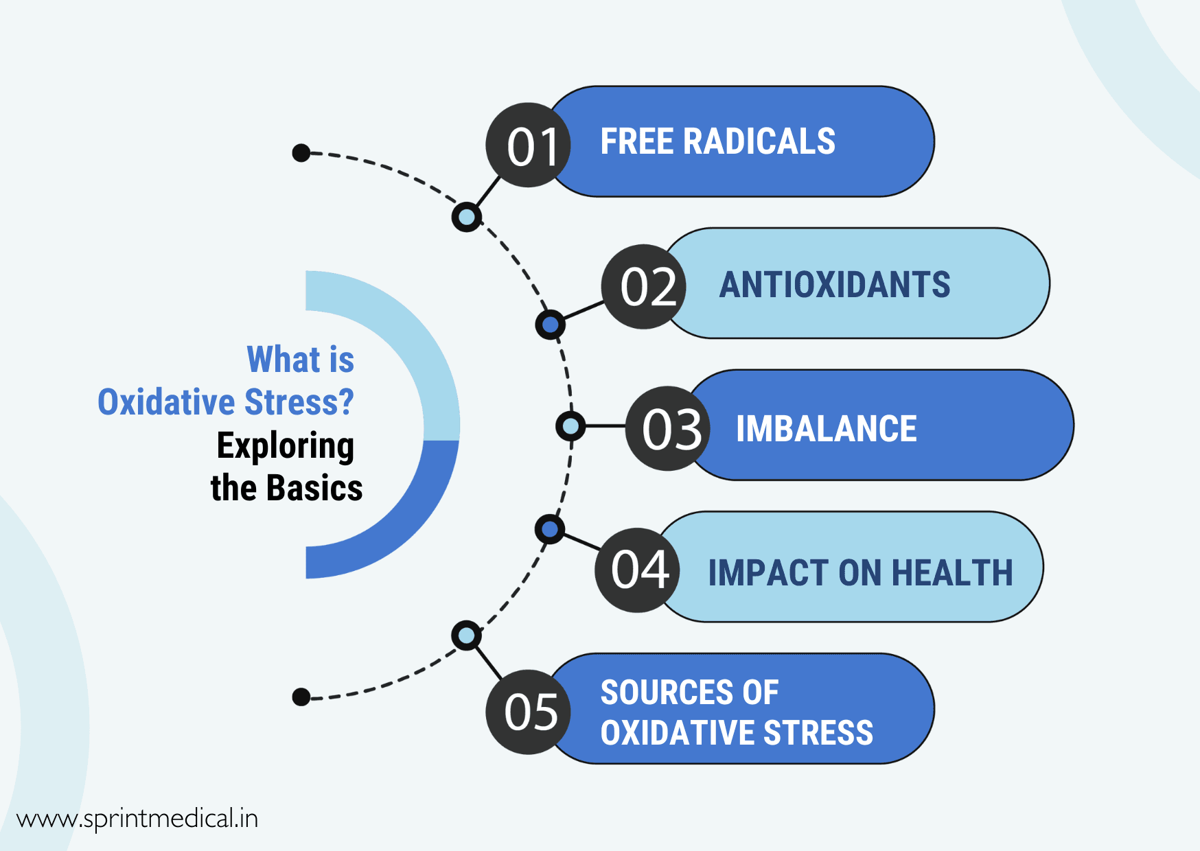 What is Oxidative Stress Exploring the Basics