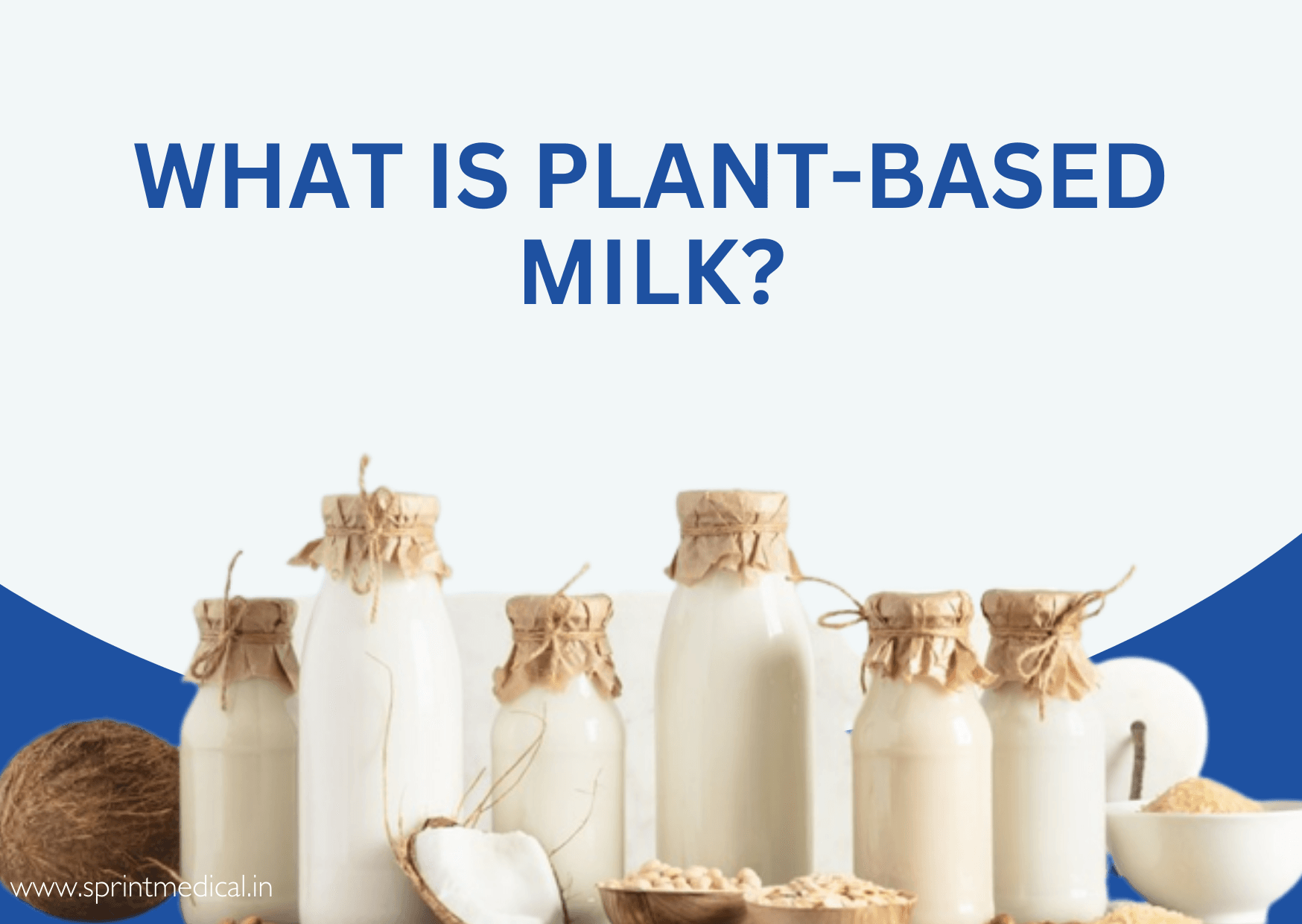 What is Plant-Based Milk