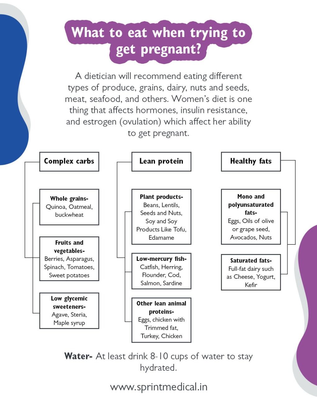 What to eat when trying to get pregnant