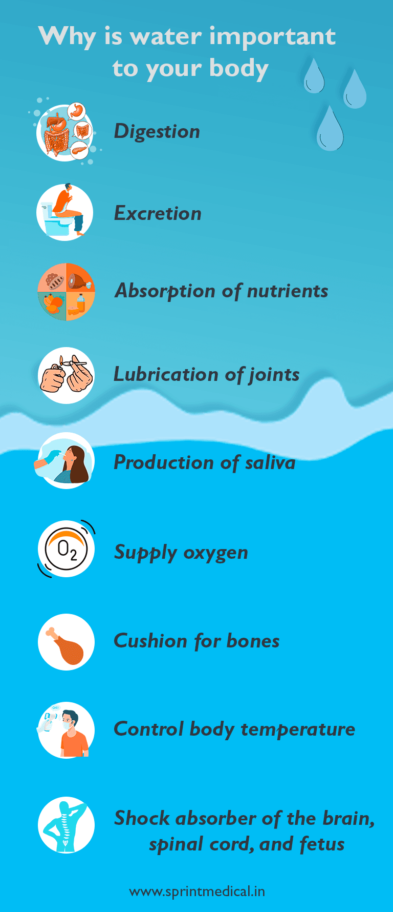 Why is water important